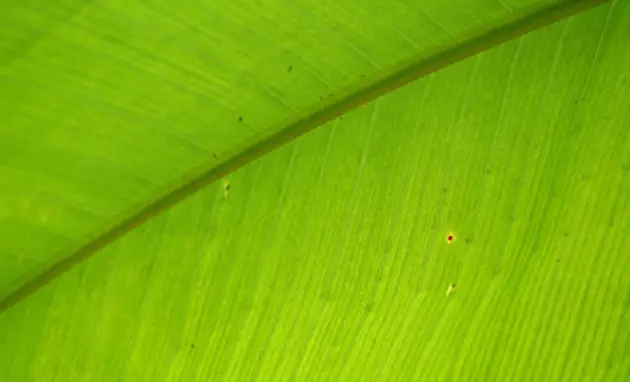 El Kit Bio Pack plus de Valmet revoluciona el empaque de productos tisú con papel prerrevestido y una innovadora aplicación de cola con inyectores