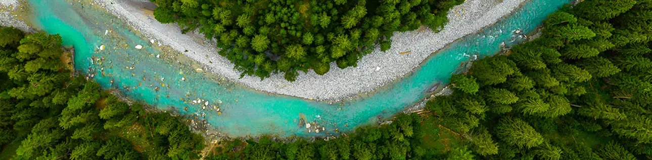 aerial-view-forest-river.jpg