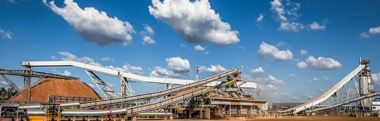 Pulp mill wood handling area