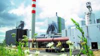White liquor plant articles