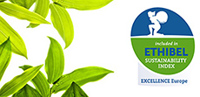 Valmet maintains its position as a constituent of the Ethibel Sustainability Index Excellence Europe